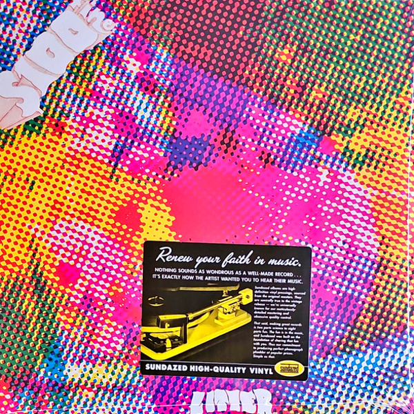 The Litter – $ 100 Fine 2017 NOVÁ, NEHRANÁ Vinyl (LP)