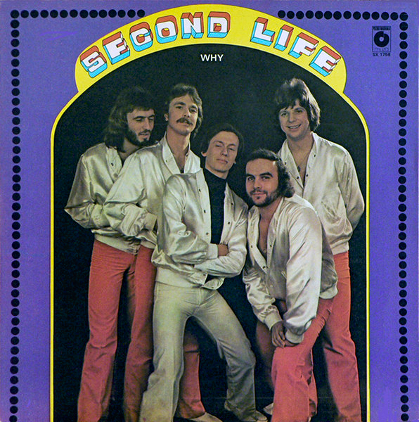Second Life – Why 1979 VG, VYPRANÁ Vinyl (LP)