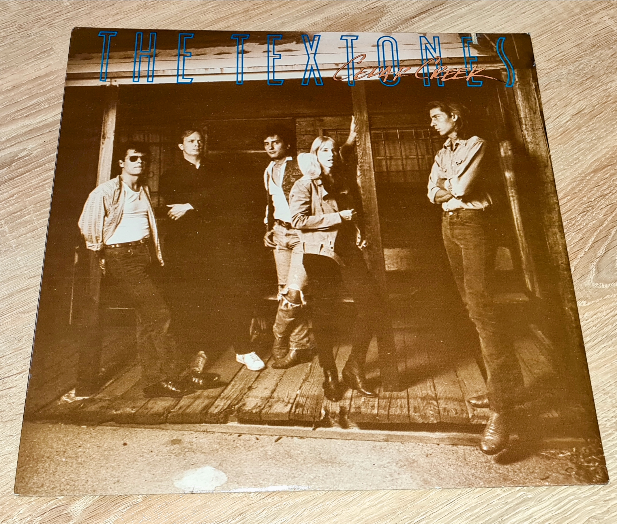 The Textones – Cedar Creek 1987 VG+, VYPRANÁ Vinyl (LP)