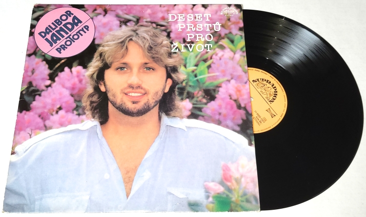 Dalibor Janda, Prototyp – Deset Prstů Pro Život 1988 VG+, VYPRANÁ Vinyl (LP)