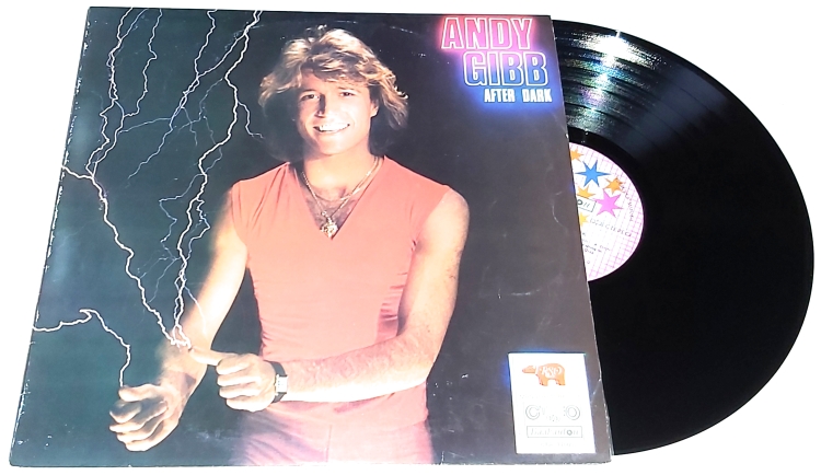 Andy Gibb – After Dark 1982 EX/EX-, VYPRANÁ Vinyl (LP)