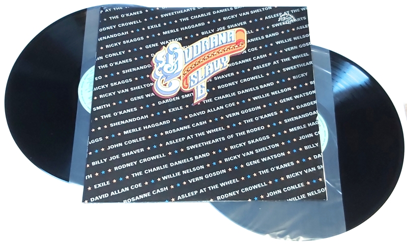 Various – Dvorana Slávy (6) 1990 EX, VYPRANÉ Vinyl (2LP)