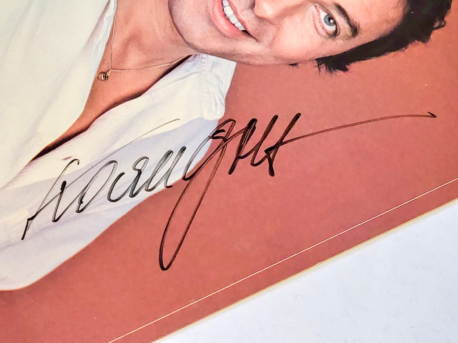 Karel Gott – Meine Lieder '79 1979 EX, VYPRANÁ Vinyl (LP) autogram, podpis