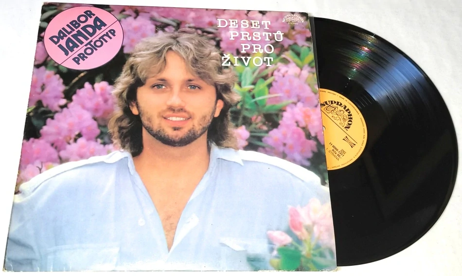 Dalibor Janda, Prototyp – Deset Prstů Pro Život 1988 VG+, VYPRANÁ Vinyl (LP)