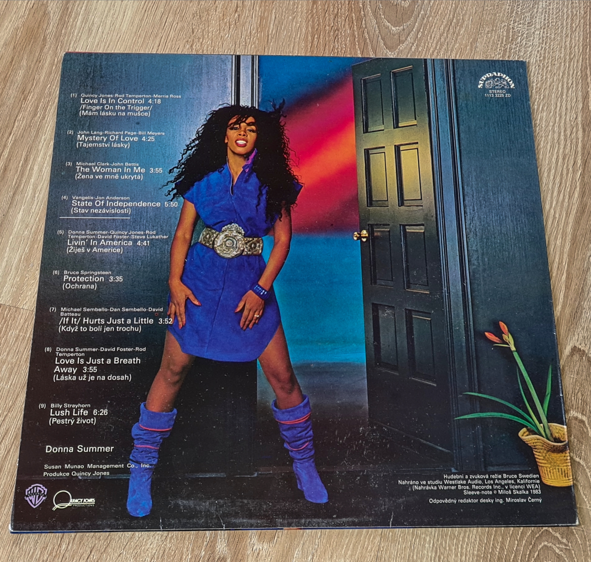 Donna Summer – Donna Summer 1983 VG+, VYPRANÁ Vinyl (LP)
