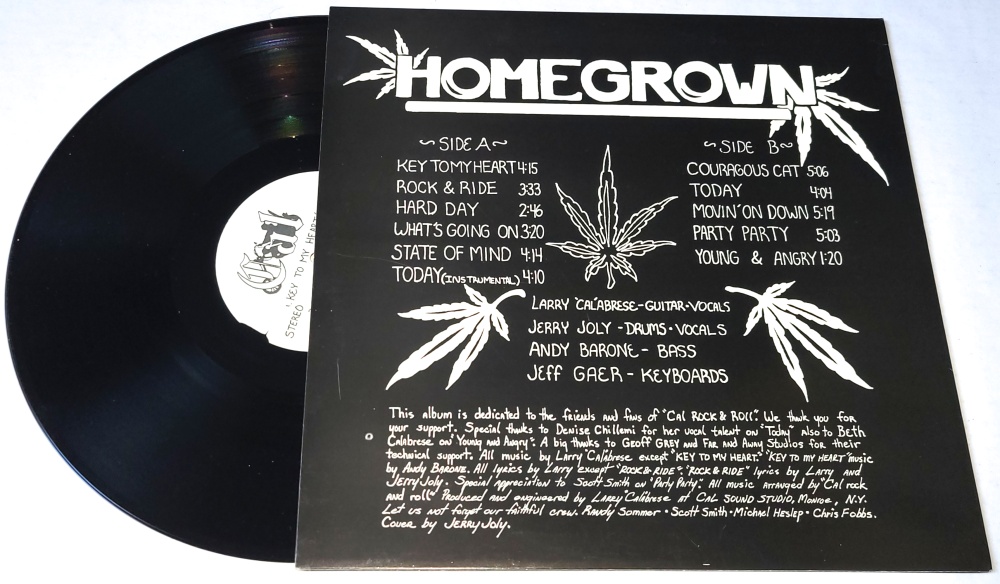 Cal Rock & Roll – Homegrown 1982 VG+, VYPRANÁ Vinyl (LP)