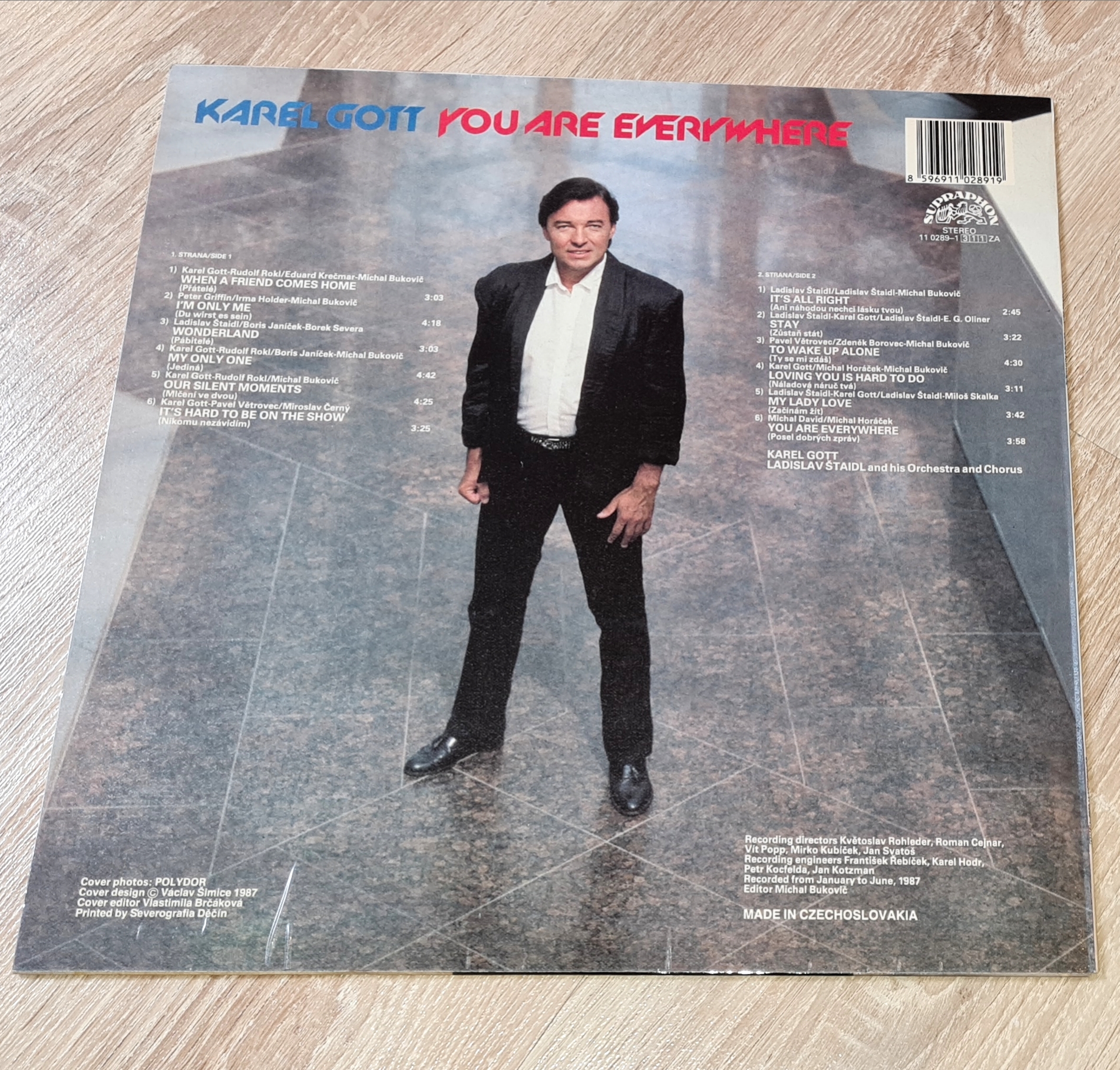 Karel Gott – You Are Everywhere 1988 EX, VYPRANÁ Vinyl (LP)