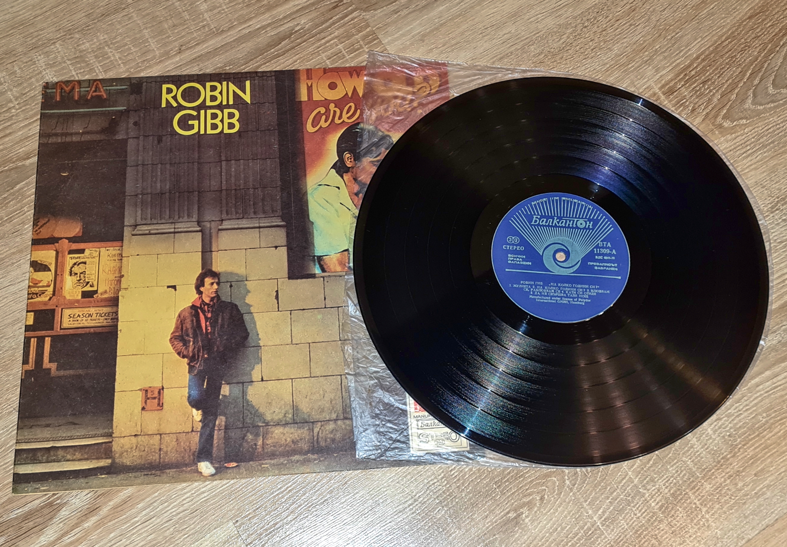 Robin Gibb – How Old Are You ? 1988 VG+, VYPRANÁ Vinyl (LP)