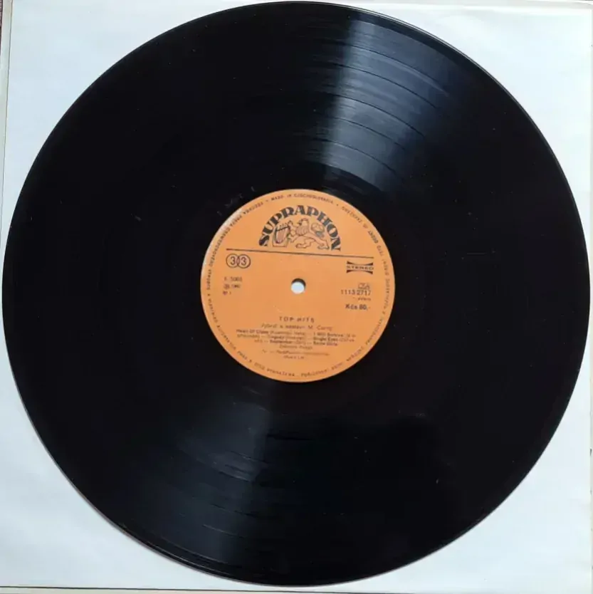 Various – Top Hits 1980 EX, VYPRANÁ Vinyl (LP)