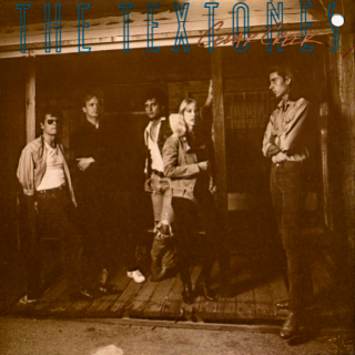 The Textones – Cedar Creek 1987 VG+, VYPRANÁ Vinyl (LP)