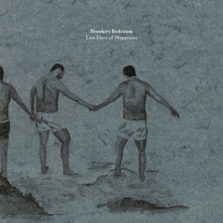 Brooke's Bedroom – Last Days of Happiness 2008 EX, VYPRANÁ Vinyl (LP)