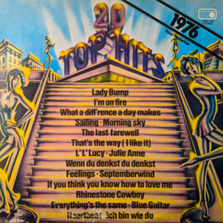 Unknown Artist – 20 Top Hits 1976 (1975) VG+, VYPRANÁ Vinyl (LP)