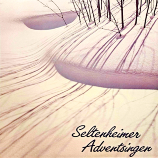 Singkreis Seltenheim – Seltenheimer Adventsingen EX, VYPRANÁ Vinyl (LP)