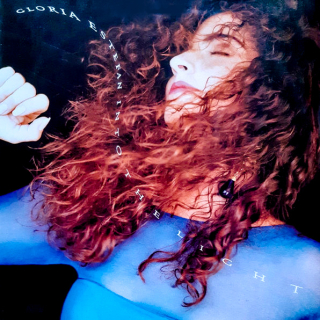 Gloria Estefan – Into The Light 1991 EX, VYPRANÁ Vinyl (LP)