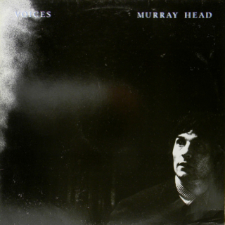 Murray Head – Voices 1980 EX+, VYPRANÁ Vinyl (LP)
