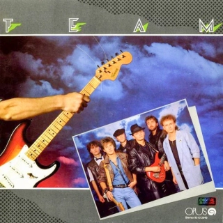 Team – Team 1988 VG+, Vinyl (LP)