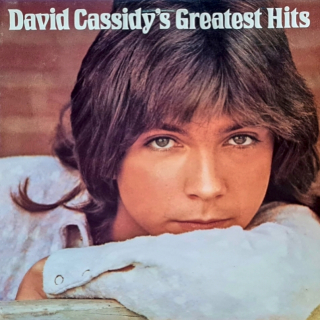 David Cassidy's Greatest Hits 1975 VG+, VYPRANÁ Vinyl (LP)
