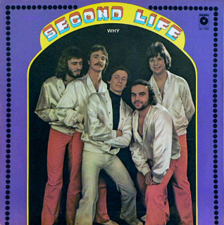 Second Life – Why 1979 VG, VYPRANÁ Vinyl (LP)