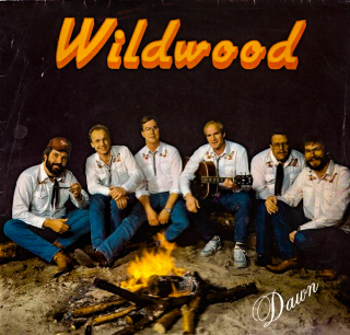 Wildwood – Dawn 1986 VG+, VYPRANÁ Vinyl (LP)