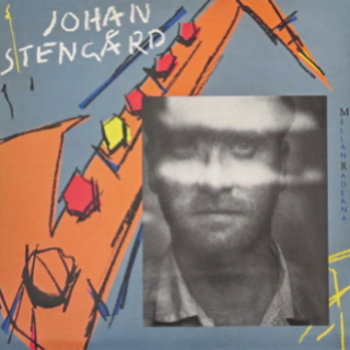 Johan Stengård – Mellan Raderna 1985 VG-, VYPRANÁ Vinyl (LP)